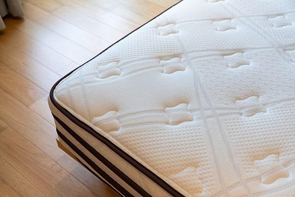 we do not accept mattresses with bed bugs for mattress removal